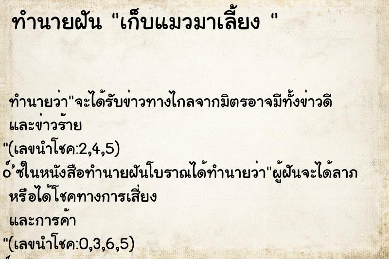 ทำนายฝันทำนายฝันเก็บแมวมาเลี้ยง